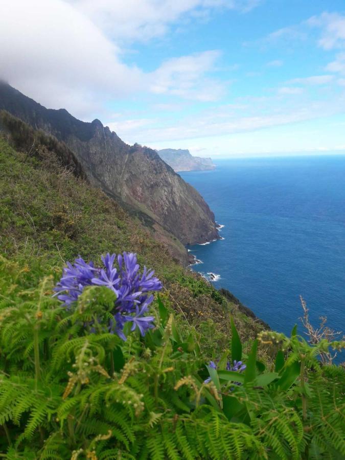Funchal Bay View Holiday Rental Exteriör bild
